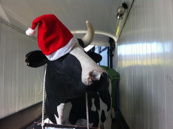 fnhcofficial's tweet image. @ThameNews have you spotted who is wearing a Santa hat today? #FestiveFunRun