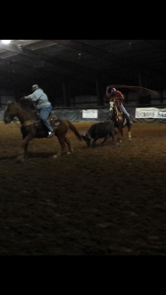 reydmata's tweet photo. When nothing goes right, go left I'll be back there to give you a hand! #Heeling #PullingBack http://t.co/liaidkusPk