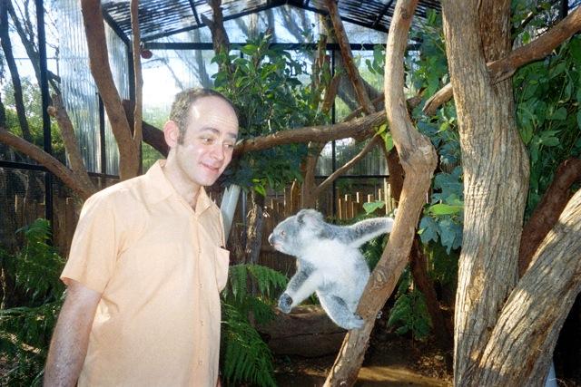 Embedded image permalink