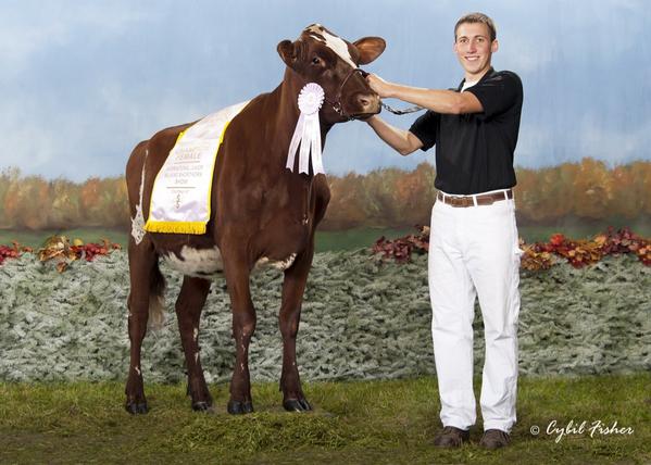 seifert_eric's tweet photo. Super happy with my pictures from World Dairy Expo this past year! Thanks to @NativeHetke and @corstar for everything http://t.co/CEHejNS7ds