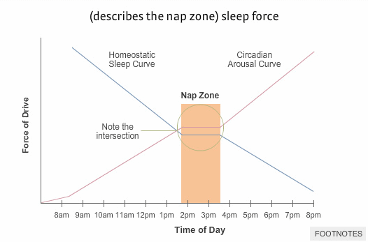My nap time window is almost closing again. Really need to work on that hammock in the office project....
