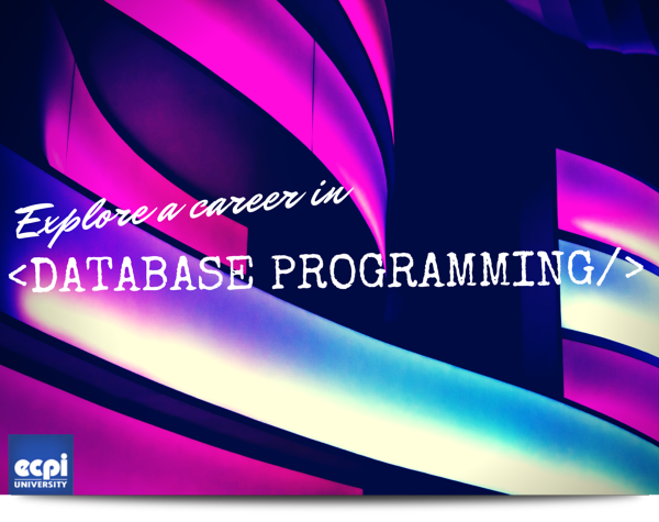 ECPIUniversity's tweet photo. How Much Does a #DatabaseProgrammer Make? http://t.co/x2OyIqhX6V #ECPI #programming For More:http://t.co/BmiVLnLyGZ http://t.co/BxawtpUITg