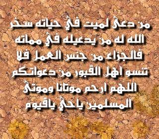 سبحان الله (@kareeeem1095) on Twitter photo 