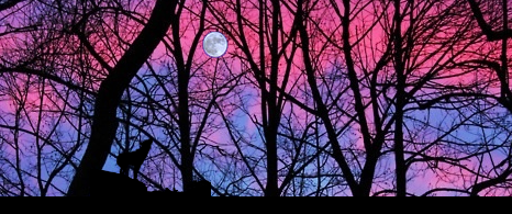 RitualEnter's tweet photo. http://t.co/EugVZmqJwr