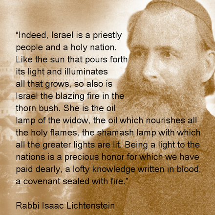 vineofdavid's tweet photo. Wisdom from The Everlasting Jew by Rabbi Isaac Lichtenstein. #vineofdavid #ffoz #firstfruitsofzion http://t.co/V2BnHDZf7v