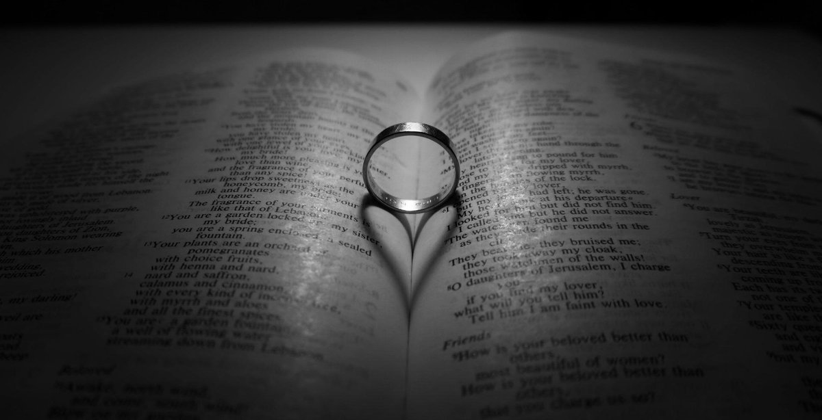 Esto respondió el Papa a los miembros de Schoenstatt goo.gl/W0W6eO <a href="/VivoSchoenstatt/"> Vivo Schoenstatt</a> <a href="/viviarosemena/">viviarosemena</a>