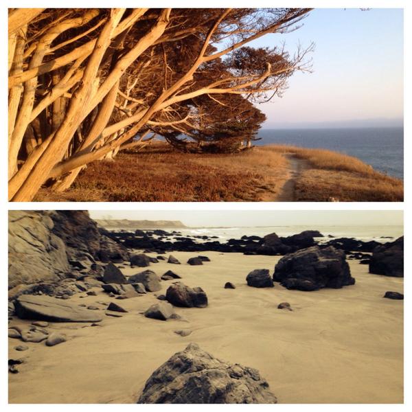 NewChapter's tweet photo. We are walking the California coast! Where will you #FlexandMove for #WorkoutWednesday? RT and reply! http://t.co/Rn0c6RmBqd