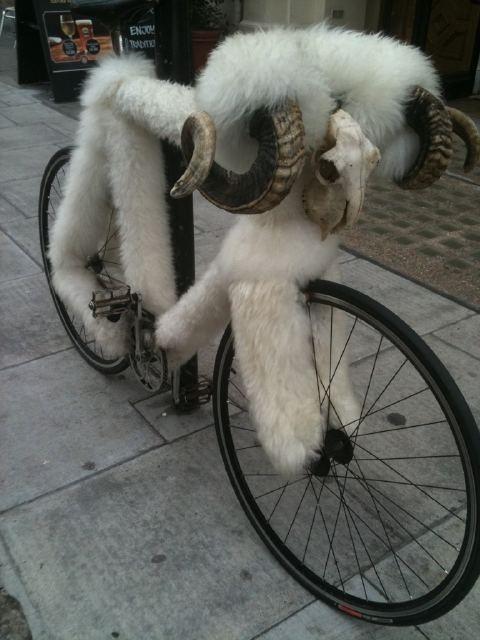 HP_camping's tweet photo. How have you #customised your #bike?
#Accessories and customisation - http://t.co/GcyPeqcQxj (via @HalfordsCycling) http://t.co/MoMR6BpL8g