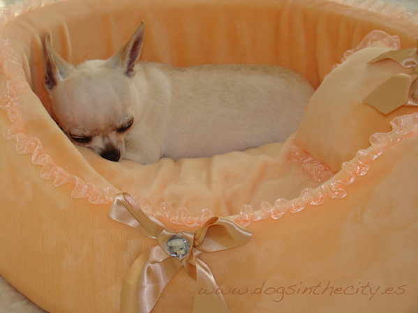 DogsinthecitySP's tweet photo. Mi niña Marilyn echando la siesta en su cama Roma, disponible en nuestra web. #chihuahua #mascotas #dogsinthecity http://t.co/lXk82A3WaZ