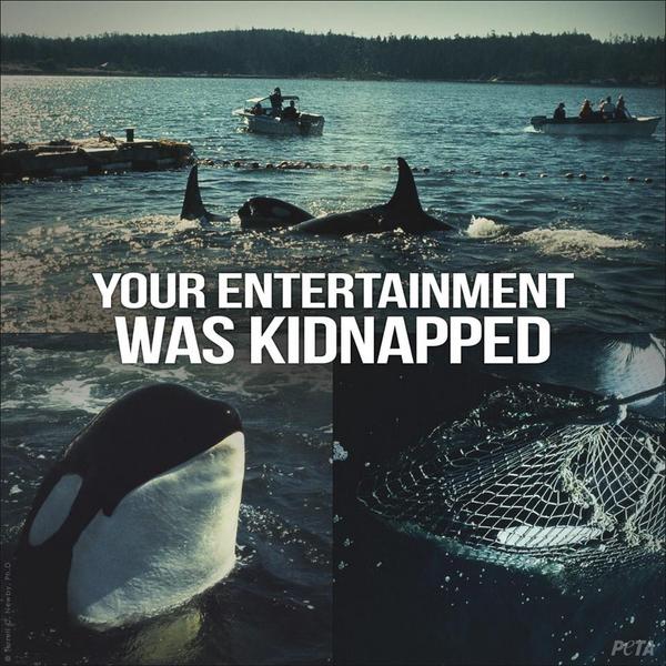 #EndCaptivity tweet media