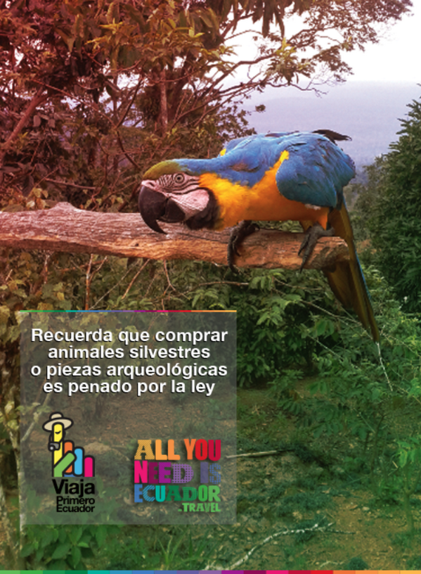 feel_ec's tweet photo. #TipsTurismo En este #feriado a cuidar el medio ambiente @TurismoEc #ViajaPrimeroEcuador http://t.co/88chzy3ckt via @MinturZonal2