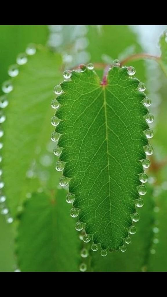 TopAmazingPhoto's tweet image. 