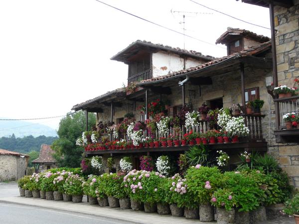 ppereli's tweet photo. @delmardelnorte http://t.co/DOxZ6V2hDo