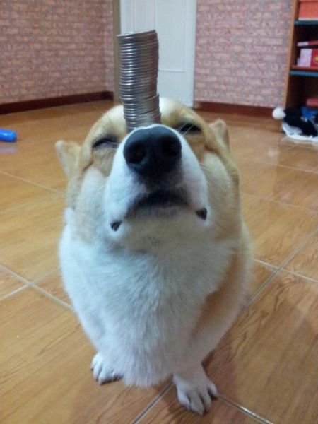 コイン置場です