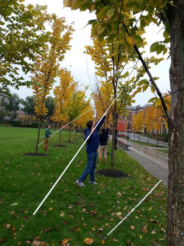 weRspirited's tweet photo. weR setting up for our big weR BRIGHT celebration on November 5th at 6pm on the '86 field! http://t.co/iG9ZoiCtGX