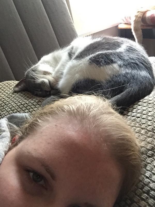 FuppaCats's tweet photo. Nap time with mum #SharedPillow #PepeTail http://t.co/pMnPtlrxMb