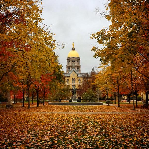 University Of Notre Dame Autumn