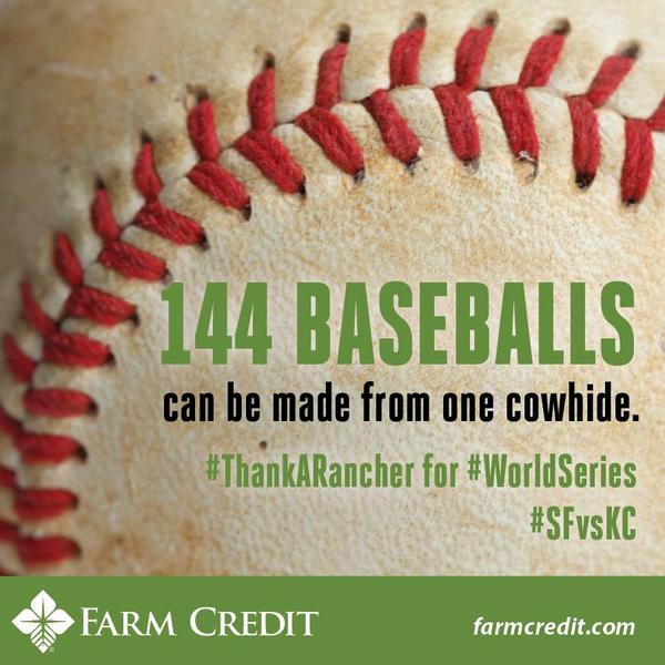 TNBeefCouncil's tweet photo. #DYK: RT @farmcredit: Thank a rancher for #game7 #MLB #WorldSeries #SFvsKC http://t.co/k10MrDGb6z #beef #agchat