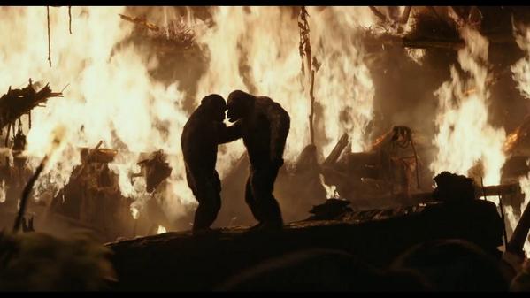 Koba_The_Ape_'s tweet image. @Caesarloove @ape_rocket @blueyestheape @mauricetheapz @Corneliatheape Trust ! #Apestogetherstrong