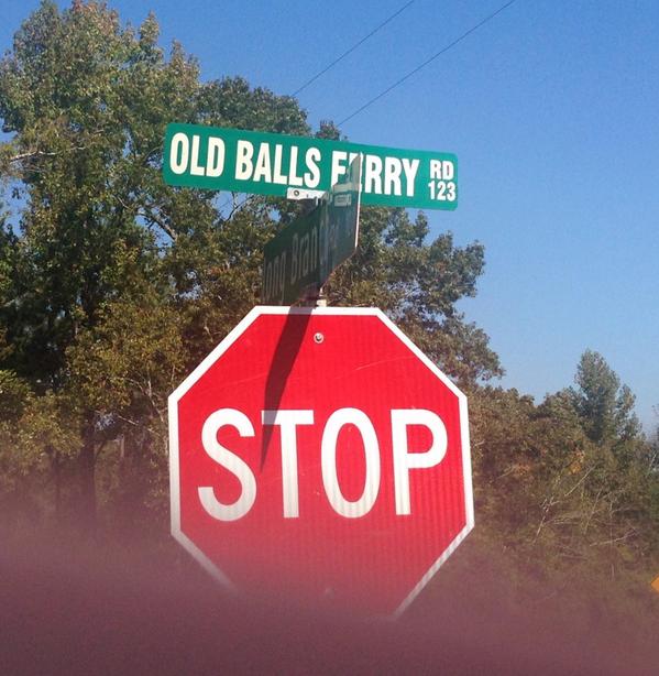 fatfrogwalt's tweet image. 