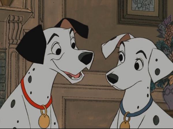 Disney_PangoDog's tweet photo. http://t.co/BFaWyOKpO9