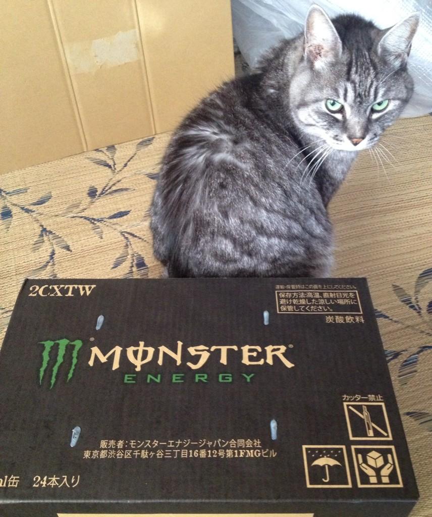 欠陥品 近所の100円ローソンでモンスターエナジー箱買いしてきた これで暫くはモンスターエナジー不足に困る事は無い モンスターエナジー エナジードリンク Http T Co Gg69gsmpta