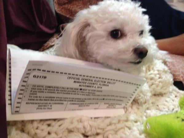 TVandyatPP's tweet photo. Dharma deciding in voting issues for Tuesday 👍 http://t.co/ZQXmBFwUFV