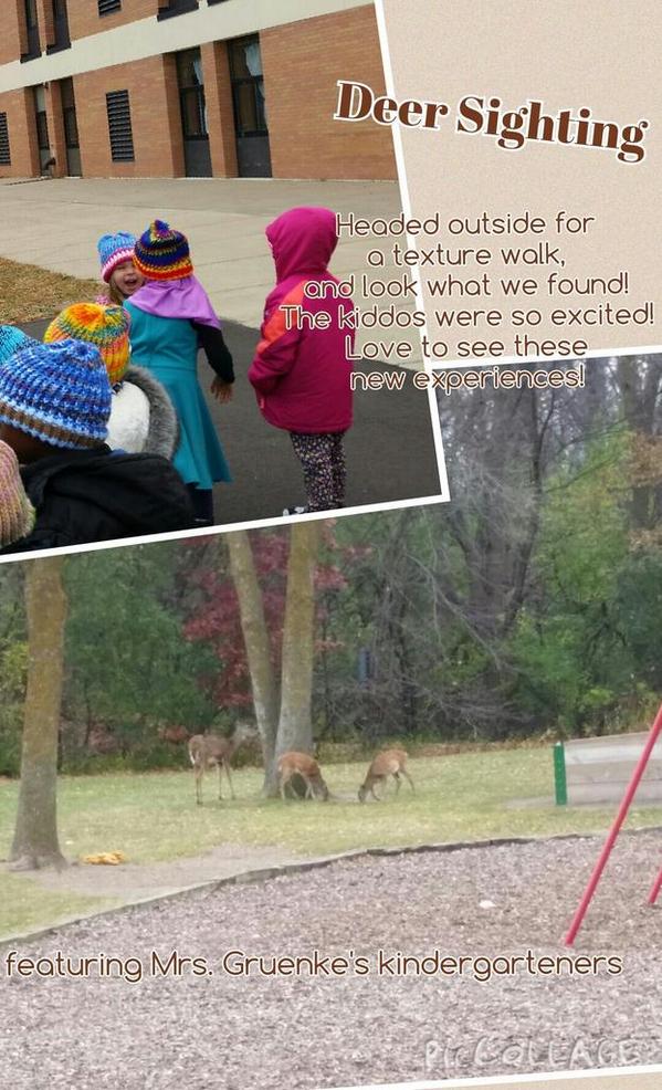 jes_rau's tweet photo. Kindergarteners were amazed to see these deer playing around in our field! #one91 #pondscience @BNL_Gruenke http://t.co/v0FPsXaxoS
