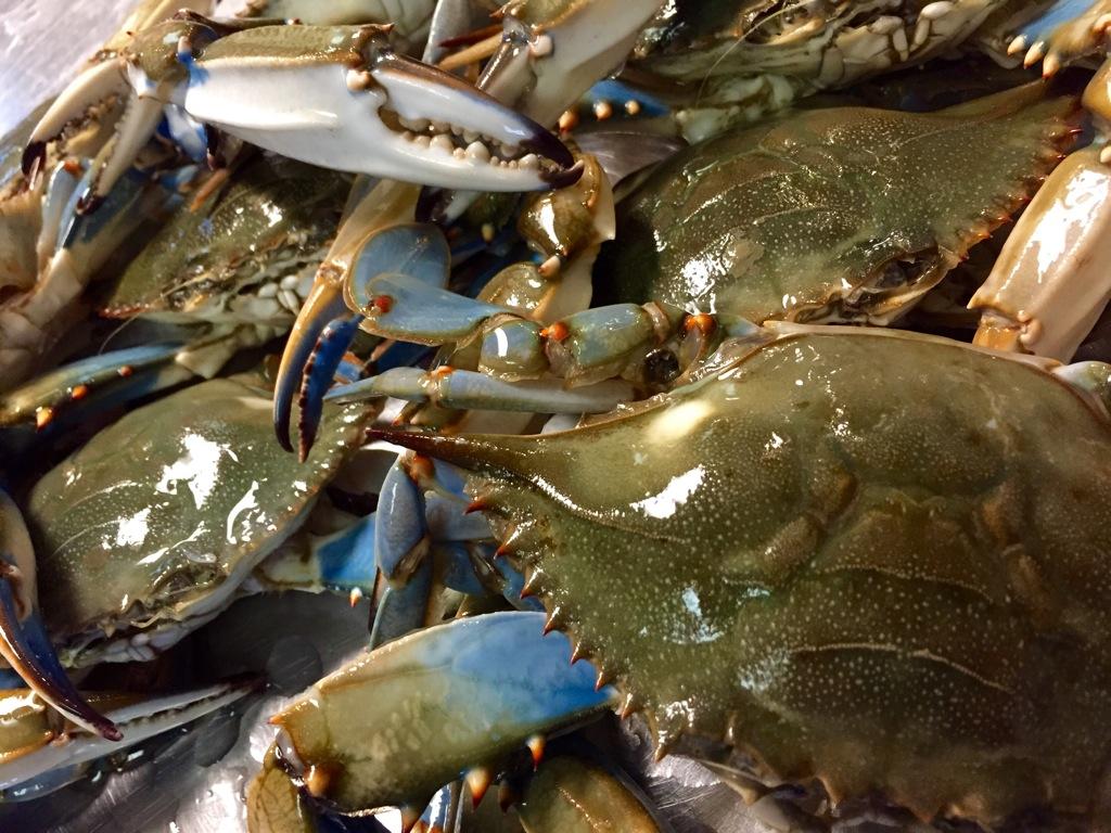 Crab Hut (crabhut) Twitter