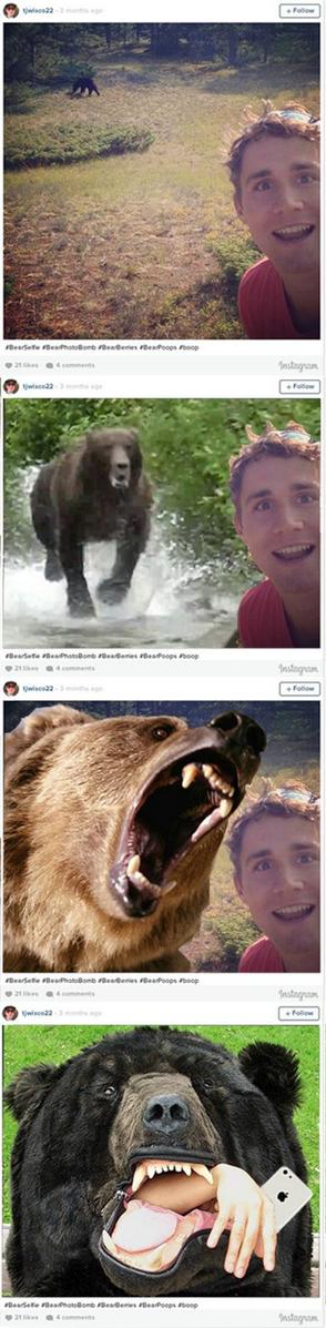 LocavoreMedia's tweet photo. @jopiazza We found the rest of the instagram pics from your #bearselfie article http://t.co/7jifs0YkEr http://t.co/32atzNnFB7