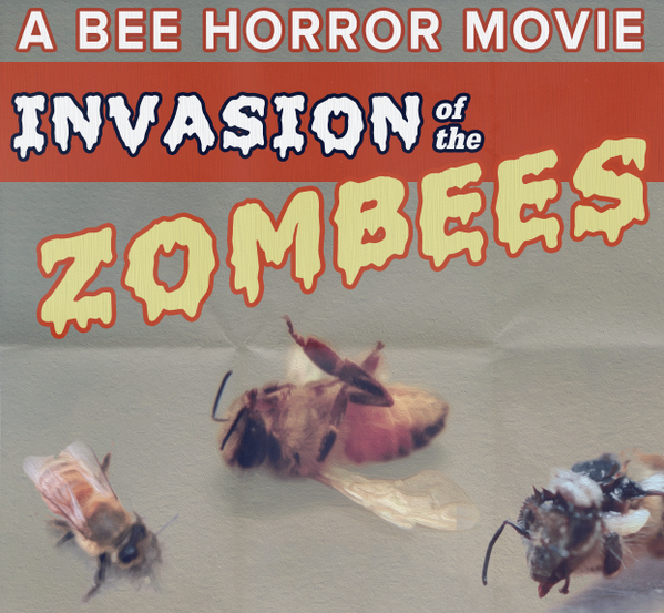 TdiShelton's tweet photo. "@scifri: There's a zombee epidemic on the west coast. http://t.co/epV3ligkQ6 http://t.co/LxDBTedX3I” @2footgiraffe @BCHSstory #kytnsci