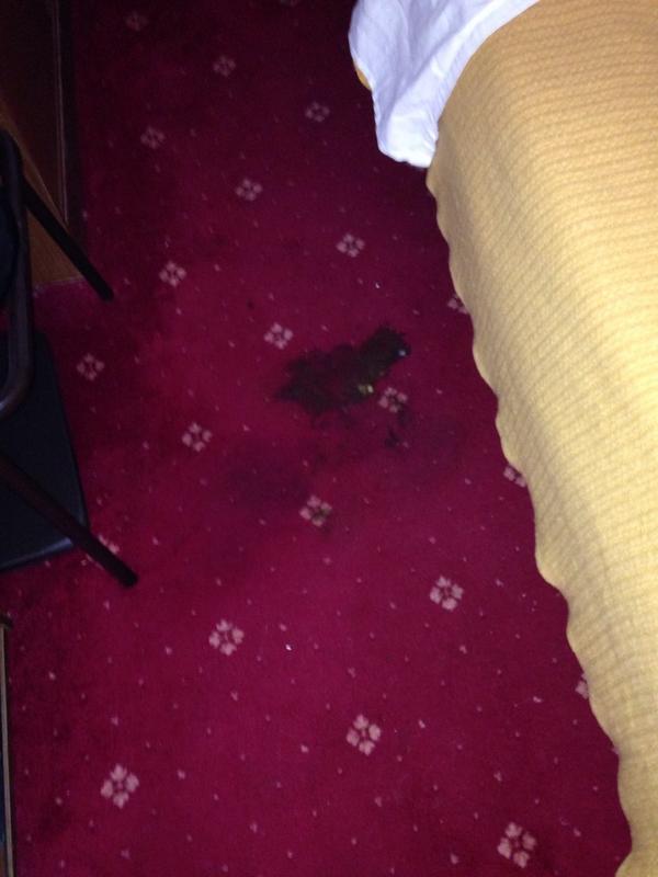 rialycarpets's tweet photo. Happy landlords http://t.co/eb4vGj8kwx
