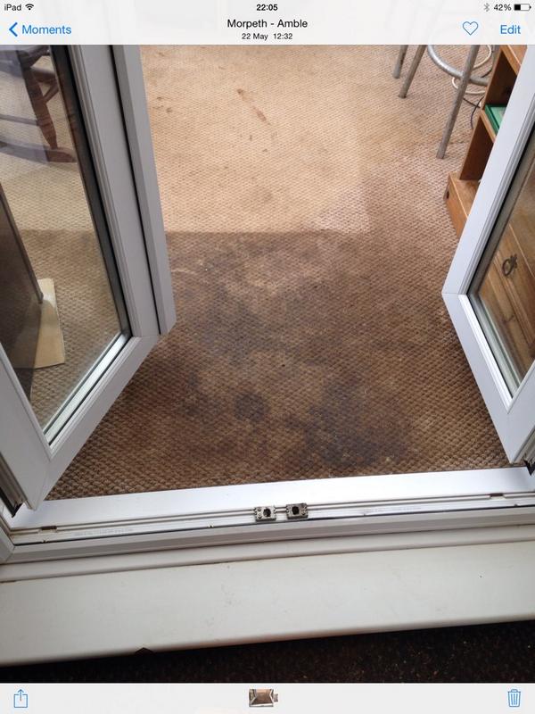 rialycarpets's tweet photo. http://t.co/CuC6WEyNmf