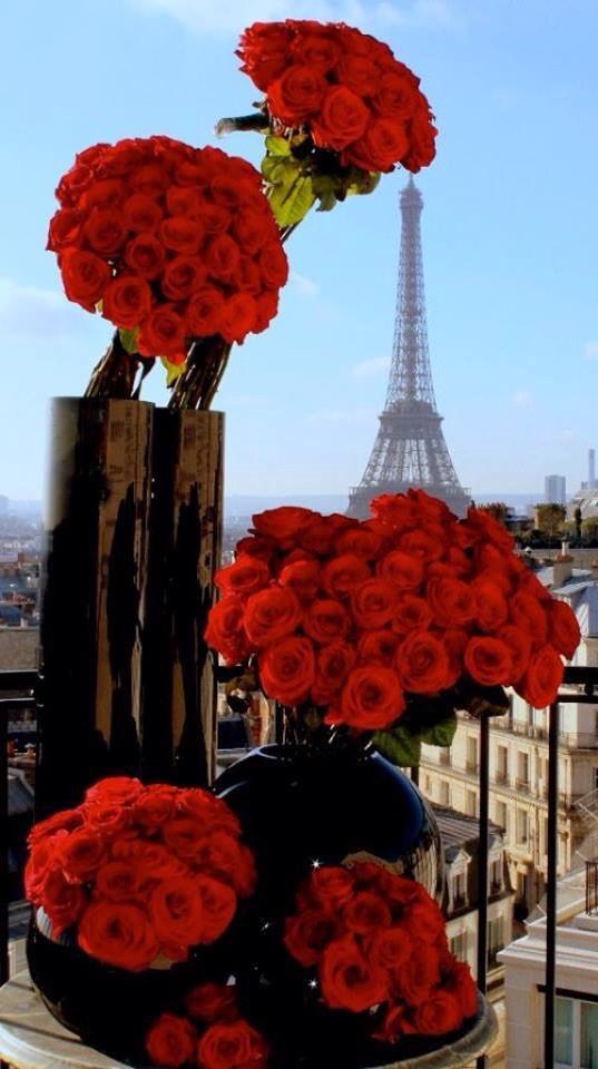 qetta15's tweet photo. ❤️❤️❤️💖💖💜💜💞💞💘‼️‼️ http://t.co/TnnFKBXG55
