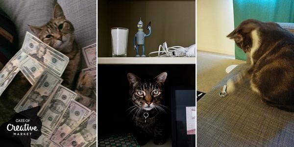 Our CM team members have some fabulous felines! These Creative Market cats wish you a purrrfect #NationalCatDay