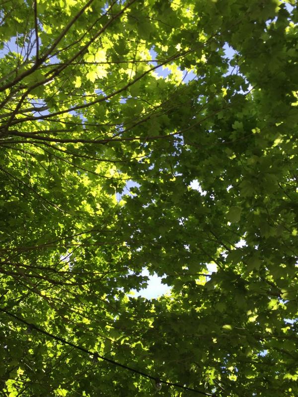 am_cloudy's tweet image. We take a short scheduled break from #huckwd14 to consider the 'Egalitarian web'