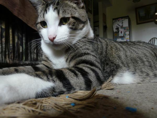 itspridetho's tweet photo. Play time is real serious buznizz! http://t.co/iENyMy37bL