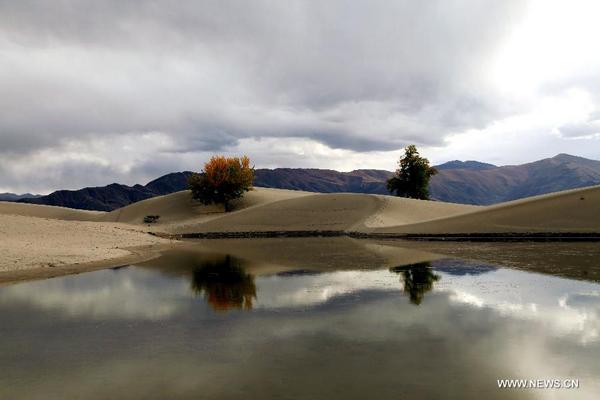 tibetol's tweet photo. Scenery of tidal wetland in China's Tibet http://t.co/9SU87ZlXrv http://t.co/7Z3KWa0U1O