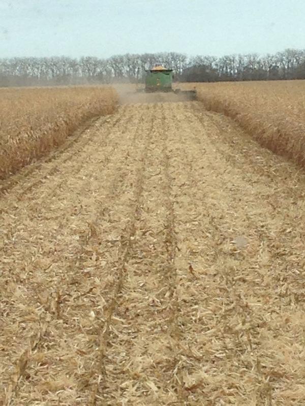 NDRoesler's tweet photo. #graincartproblems http://t.co/EDlovPmdIw