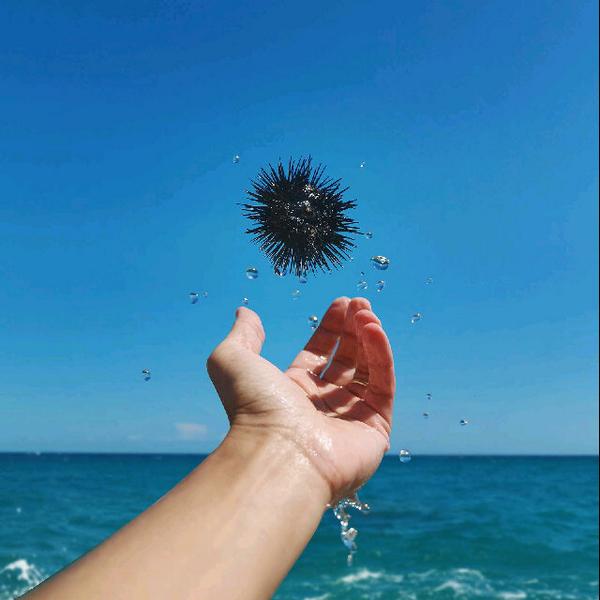 Sigit Prayogi (@juniorcendana) on Twitter photo 