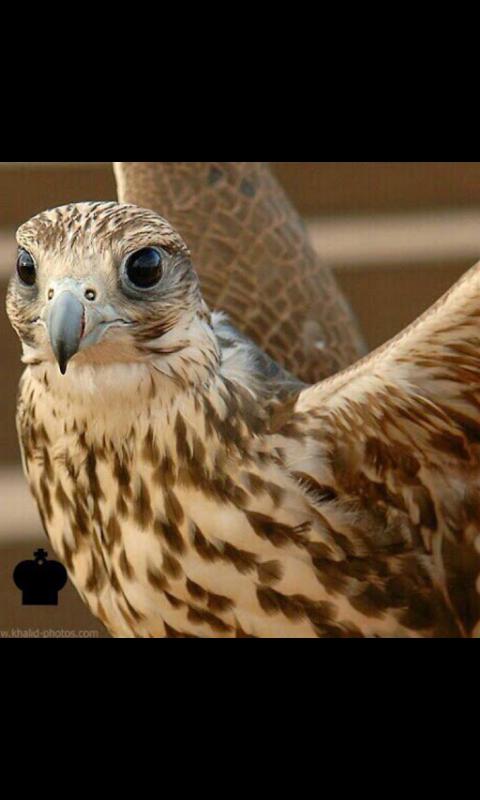 2_gfv0's tweet photo. http://t.co/mXHdlMG6JN