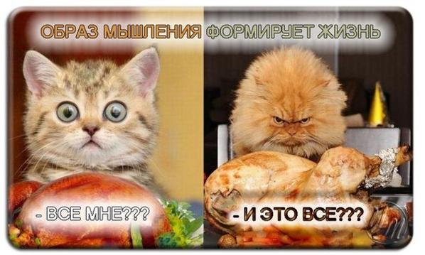 Tapтaлeтки & Ко