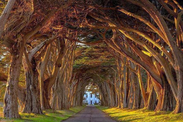 Gabriele Corno tweet media