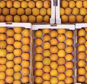 Beautiful Russets on stock, the perfect autumnal Apple #buybritish call the team for more info.