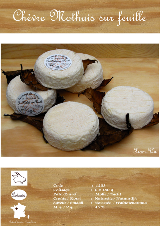 Inkoopplatform's tweet photo. Today's easyCheese 30-10 Chevre Mothais sur Feuille
#kaas #korteketen #directeimport http://t.co/gNJ7UovYpd