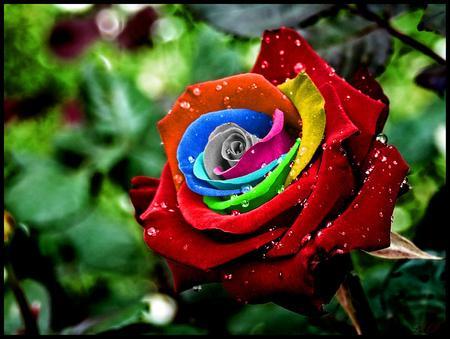 444ASAS's tweet photo. " تزداد المرأة جمالا وتصبح أكثر سعادة وإقبالا على الحياة من بعد سن الثلاثين..!

( حسب دراسة إجتماعية ) http://t.co/1pgVde4jE8"