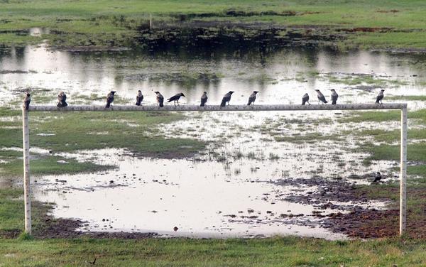 SundayChants's tweet image. The Sunday League Theatre of Dreams.