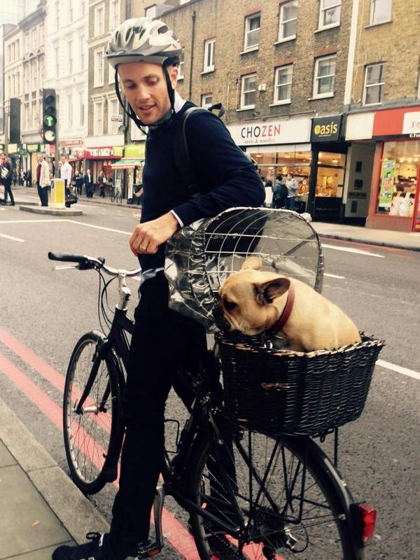 TtlWomenCycling's tweet image. We met John (human) and Chad (canine) on our commute this morning. ♥  #commutersolutions