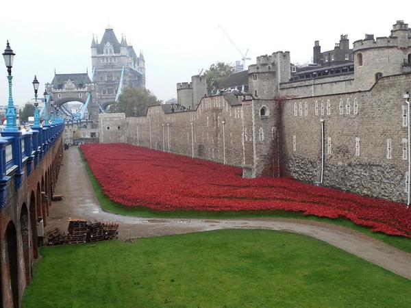 SagaUK's tweet photo. This is an amazing sight!

#TowerPoppies #PoppyAppeal #LestWeForget #LiveOn #Remembrance #LoveLondon #London http://t.co/uouJhXjoXq
