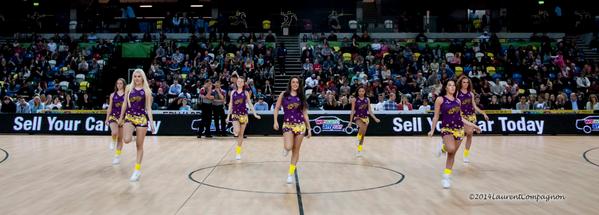 LLionesses's tweet photo. Incredible action images from this weeks match at The Copperbox @London_Lions http://t.co/3oIBFZ9xHN